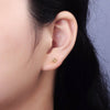 The Bloom Studs - TallyThe Bloom StudsAE897The Bloom Studs