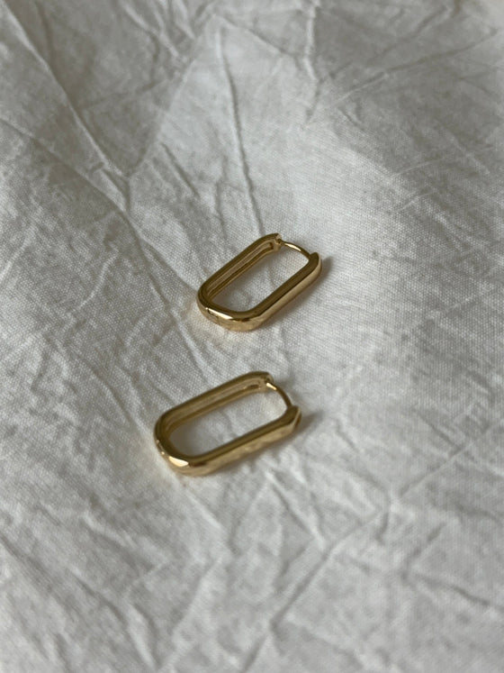 The Daily Huggie Hoop Earrings - TallyThe Daily Huggie Hoop EarringsAE - 1101The Daily Huggie Hoop Earrings